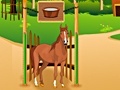 Igra Horse Care Apprenticship