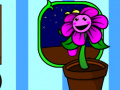 Igra My pocket plant 