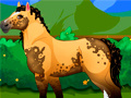 Igra Pony Dress Up