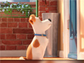 Igra Hidden Letters in The Secret Life of Pets