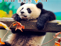 Igra Animal Habitats: Find Items