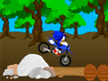 Igra Cross Sonic Race 