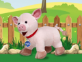 Igra Catch The Pig