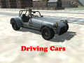 Igra Driving Cars