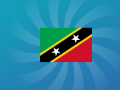 Igra Guess The Flag