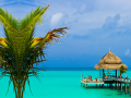 Igra Tropical Paradise