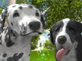 Igra Dog Simulator 3d