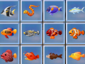 Igra Find The Fish