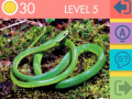 Igra 15 Picture Quiz