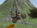 Igra Dirt Bike Rider