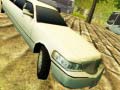 Igra Limousine Driver