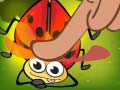 Igra Insect Cush