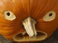 Igra 5 in 1 Picture Puzzle: Halloween