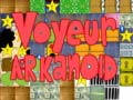 Igra Voyeur arkanoid