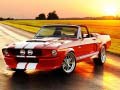Igra Fancy Mustang Differences