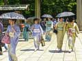 Igra 100 Butterflies in Japan