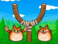 Igra Shot The Angry Cat