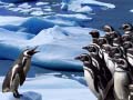 Igra Penguins Slide