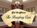 Igra Spot The Differences The Burglary Case