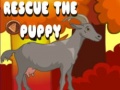 Igra Rescue The Puppy