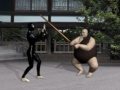 Igra Buyoda Sensei