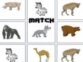 Igra Match