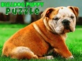 Igra Bulldog Puppy Puzzle