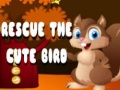 Igra Rescue The Cute Bird