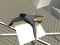 Igra Ragdoll Test