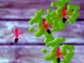 Igra Smash Ants