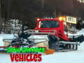 Igra Snow Groomer Vehicles