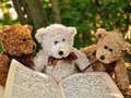 Igra Cuddly Three Teddy Jigsaw