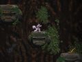 Igra Cave Descent