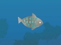 Igra Fish Companions