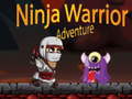 Igra Ninja Warrior Adventure