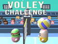 Igra Volley Challenge