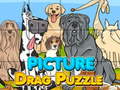 Igra Picture Drag Puzzle