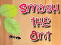 Igra Smash the Ant