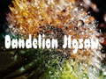 Igra Dandelion Jigsaw