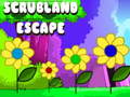 Igra Scrubland Escape