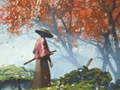 Igra Samurai Reflexion