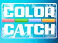 Igra Color Catch