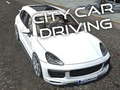 Igra City Car Driving 