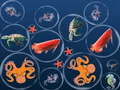 Igra Ocean Fish Merge