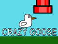 Igra Crazy Goose