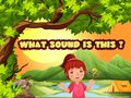 Igra What Sound Is This?