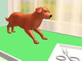 Igra Pet Care