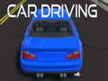 Igra Car Driving