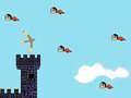 Igra Bird Hunter