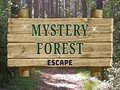 Igra Mystery Forest